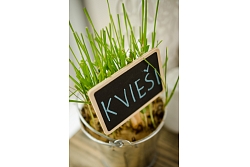 Rožmalas, viesnīca