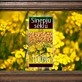 Sinepju sēklu eļļa