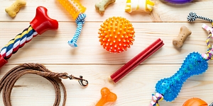 Vizītes pieteikšana