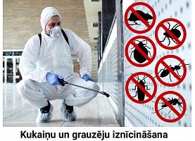 Dezinsekta, IK