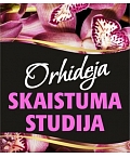 Studija Orhideja